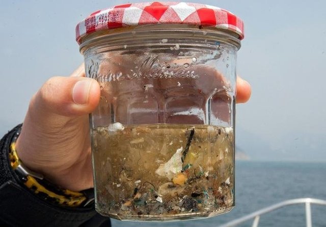 如果知道海洋中的塑料垃圾會進入人類肚子，你還會丟嗎？